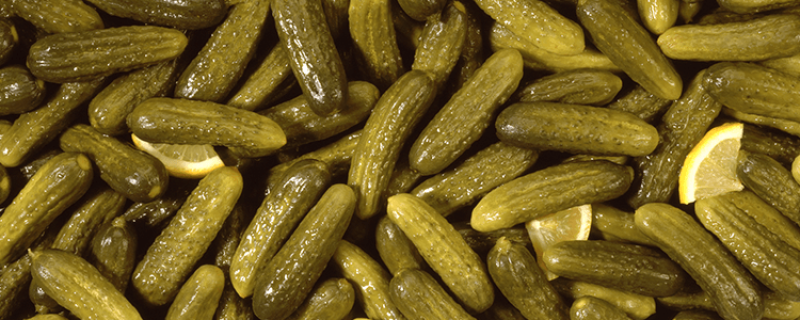 Our Pickle Picks
